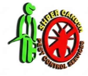 Gemini_Generated_Image_3cy2s53cy2s53cy2 (1) (6)